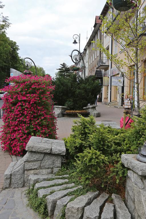 Apartament Giewont Krupowki Lägenhet Zakopane Exteriör bild
